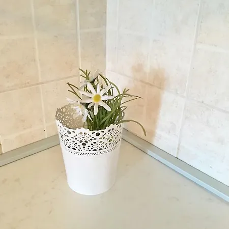Apartman P&d