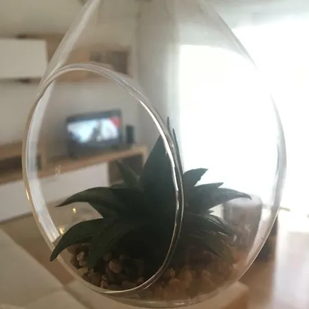 Apartman P&d